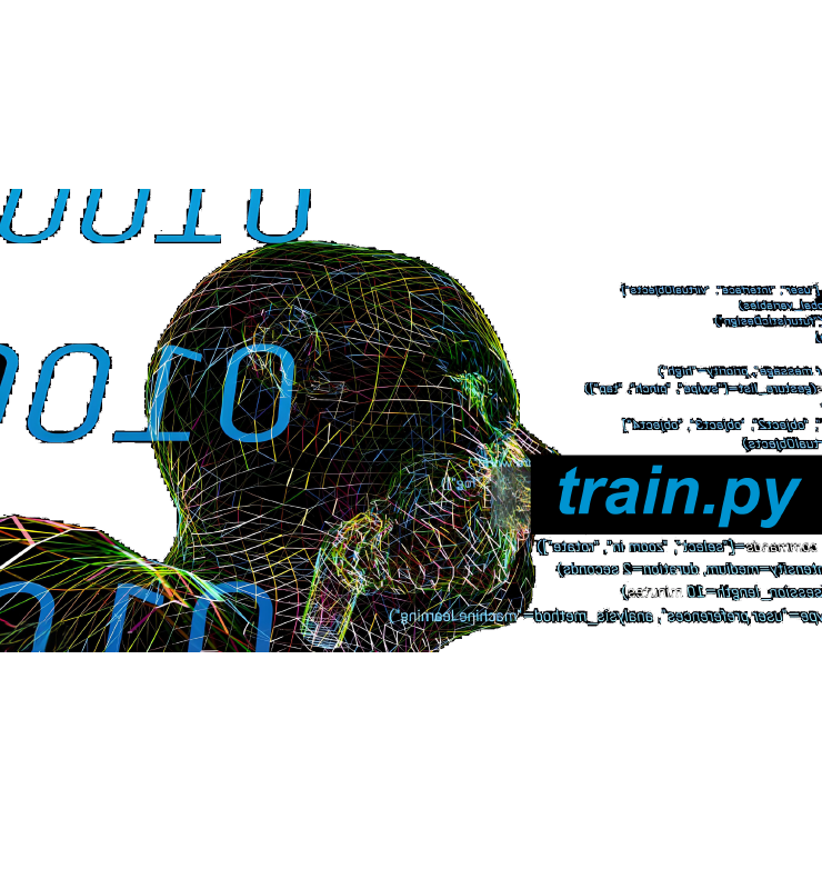 Portfolio Item